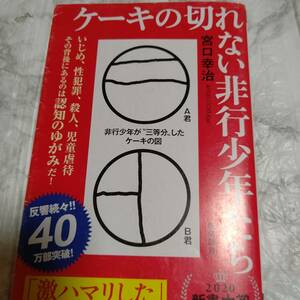 ケーキの切れない非行少年たち 宮口幸治 （新潮新書　８２０）