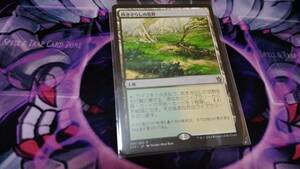 MTG 日本語版 KTK 吹きさらしの荒野　Windswept Heath 1枚　個数4