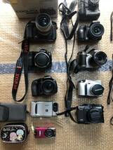 ＃D3 SONY Canon CASIO MINOLTA Nikon OLYMPUS ソニー キャノン カシオ ニコン デジタルカメラ Cyber shot EXILIM IXY デジタルカメラ_画像3