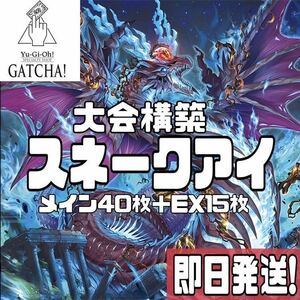 即日発送！大会用　罪宝スネークアイ　デッキ　遊戯王　ファントムナイトメア