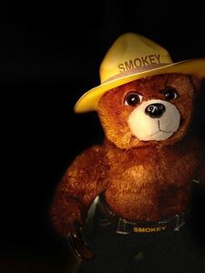  rare smoky Bear SMOKEY BEAR soft toy bear doll USA America yo semi te mountain fire . character 