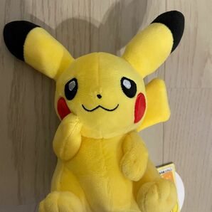 ポケモンセンター マイピカチュウ My PIKACHU ぬいぐるみ