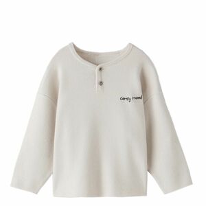 ZARA ザラ ヘンリーネック ニット セーター