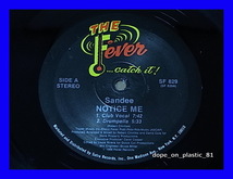 Sandee / Notice Me/C＋C/Freestyle/Loft Classic!/5点以上で送料無料、10点以上で10%割引!!!/12'_画像2