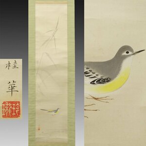 【真作】喜聞◆『金島桂華 セキレイ(鶺鴒) 野鳥図』1幅 古筆 古文書 古書 日本画 近代絵画 花鳥画 竹内栖鳳に師事 茶道 茶掛軸 京都 昭和