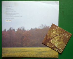 【LP+CD】HAZARD - Wood / Field / Bridge【2000年Ash Int/アンビエント/フィールド録音】