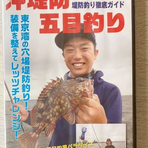 即決★送料込★釣れる!堤防釣り徹底ガイド付録【沖堤防五目釣り 木更津沖堤防 26分】付録のみ匿名配送 フィッシング