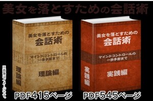 美女を落とすための会話術/相沢蓮也/PDF415ページ/PDF545ページ/限定特典レポートPDF13ページ