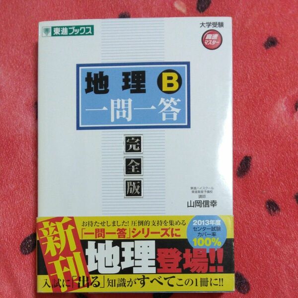 地理Ｂ一問一答　完全版 （東進ブックス　大学受験高速マスターシリーズ） 山岡信幸／著