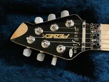 PEAVEY USA EVH Wolfgang　レアカラー　グリーン　美品！　純正ハードケース　_画像4