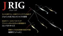 廃番　J RIG★Jリグ★フィッシュアロー★Fish Arrow★魚矢★アラバマリグ★アンブレラリグ★バマスト★フラッシュJ★ジェイリグ_画像1