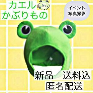 カエル　かえる　かぶりもの　被り物　コスプレ　変装　ハロウィン　宴会