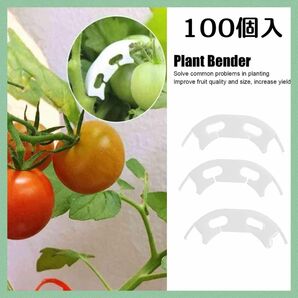 植物 農業 誘引クリップ 植物の茎 茎 支える 固定 クリップ 100個 ミニトマト