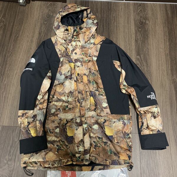 即決送料込みSupreme The North Face Mountain Light Jacket M Leaves リーフ マウンテンジャケット 枯葉 落ち葉国内正規品シュプリーム