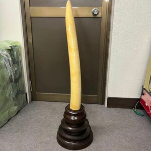 【1スタ】象牙風 一本物 一本牙 長さ約72cm 重さ約3.6kg 古美術 置物 レプリカ 骨董品 引取歓迎 ②