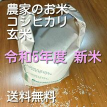 農家のお米 新米 令和5年度 コシヒカリ 玄米 約10kg 送料無料_画像1