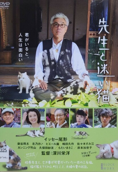 中古DVD 先生と迷い猫