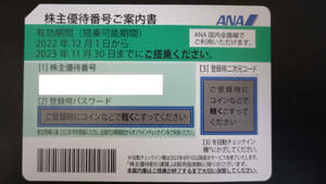 ANA株主優待券　2023年11月期限 お早めに