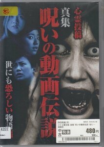 DVD レンタル版 心霊投稿 真集 呪いの動画伝説 世にも恐ろしい物語編