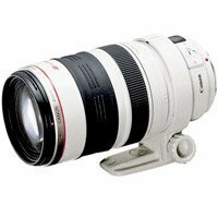 Canon EF 35-350mm F3.5-5.6L USM　(shin