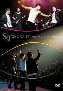 sg WANNABE+ CONCERT 2010 STORY OF WANNA BE~Precious~ [DVD]　(shin