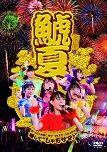 チームしゃちほこサマーフェスティバル2013~略して”しゃちサマ♪” [DVD]　(shin