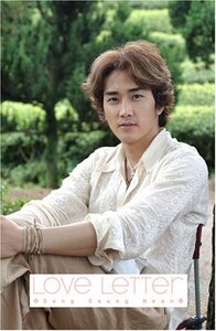 Song Seung Heon Love Letter (ソン・スンホン ラブレター) [DVD]　(shin