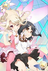 Fate/kaleid liner プリズマ☆イリヤ ツヴァイ! 第2巻 通常版 [DVD]　(shin