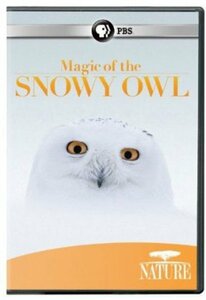 Nature: Magic of the Snowy Owl [DVD]　(shin