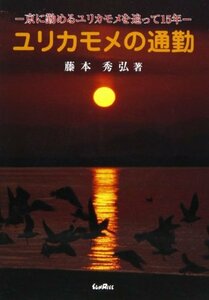 ユリカモメの通勤―京に勤めるユリカモメを追って15年　(shin