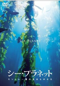 シー・プラネット モントレー湾の生き物たち [DVD]　(shin