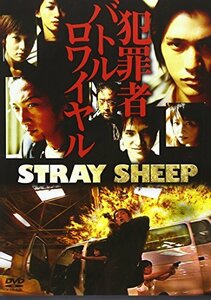 STRAY SHEEP [DVD]　(shin