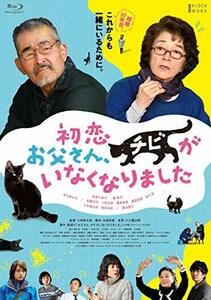 初恋~お父さん、チビがいなくなりました [Blu-ray]　(shin