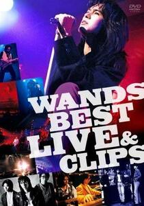 WANDS BEST LIVE & CLIPS [DVD]　(shin