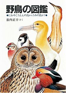 野鳥の図鑑―にわやこうえんの鳥からうみの鳥まで (福音館の科学シリーズ)　(shin