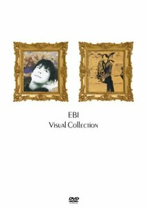 EBI ヴィジュアルコレクション [DVD]　(shin