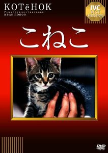 こねこ [DVD]　(shin