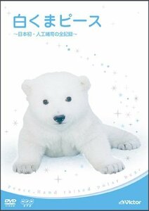 白くまピース ~日本初・人工哺育の全記録~ [DVD]　(shin