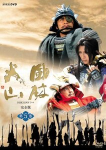 NHK大河ドラマ 風林火山 第五巻 [DVD]　(shin