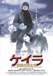 ケイラ 雪原の友だち [DVD]　(shin