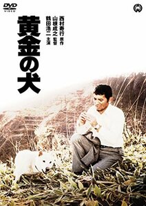 黄金の犬 [DVD]　(shin