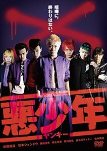 悪少年（ヤンキー） [DVD]　(shin
