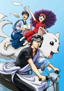 銀魂' 13(完全生産限定版) [DVD]　(shin