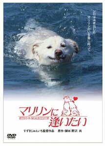 「きな子~見習い警察犬の物語~」DVD発売記念　 犬だワンダフルキャンペーン マリリンに逢いたい (限定生産)　(shin