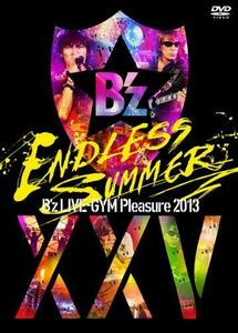 B'z LIVE-GYM Pleasure 2013 ENDLESS SUMMER-XXV BEST-【完全盤】 [DVD]　(shin