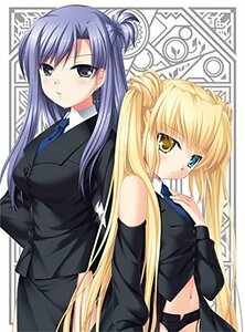 Rewrite 10(完全生産限定版) [Blu-ray]　(shin