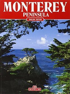 Monterey Peninsula　(shin