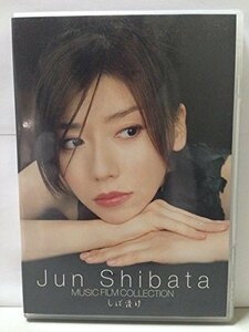 JUN SHIBATA MUSIC FILM COLLECTION しば漬け [DVD]　(shin