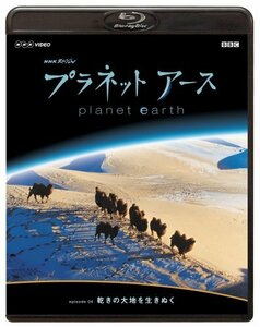 NHKスペシャル プラネットアース Episode 4 「乾きの大地を生きぬく」 [Blu-ray]　(shin
