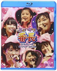 スマイレージライブツアー 2012秋~ちょいカワ番長 [Blu-ray]　(shin